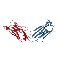 The deposited structure of PDB entry 2r1x contains 2 copies of CATH domain 2.60.40.10 (Immunoglobulin-like) in Ig-like domain-containing protein. Showing 2 copies in chain A.