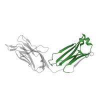 The deposited structure of PDB entry 2r1x contains 1 copy of Pfam domain PF07654 (Immunoglobulin C1-set domain) in Ig-like domain-containing protein. Showing 1 copy in chain A.