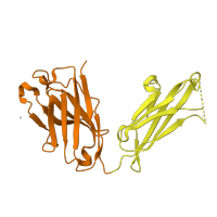 The deposited structure of PDB entry 2r1x contains 2 copies of CATH domain 2.60.40.10 (Immunoglobulin-like) in Ig-like domain-containing protein. Showing 2 copies in chain B.