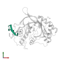 DNA (5'-D(P*DGP*DCP*DGP*DGP*DC)-3') in PDB entry 2r9l, assembly 1, front view.