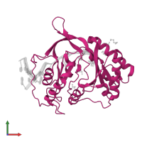 Multifunctional non-homologous end joining DNA repair protein LigD in PDB entry 2r9l, assembly 1, front view.