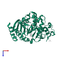 Beta-lactamase in PDB entry 2r9x, assembly 1, top view.