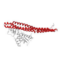 The deposited structure of PDB entry 2rai contains 2 copies of CATH domain 1.20.1270.60 (Substrate Binding Domain Of Dnak; Chain:A; Domain 2) in Sorting nexin-9. Showing 1 copy in chain B.