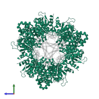 Acetylglutamate kinase, chloroplastic in PDB entry 2rd5, assembly 1, side view.