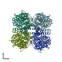 PDB entry 2rfq coloured by chain, front view.