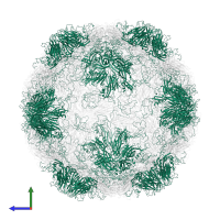 Capsid protein VP1 in PDB entry 2rmu, assembly 1, side view.