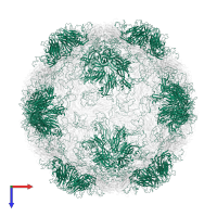 Capsid protein VP1 in PDB entry 2rmu, assembly 1, top view.