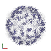 Capsid protein VP3 in PDB entry 2rmu, assembly 1, front view.