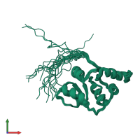 PDB entry 2rnk coloured by chain, ensemble of 20 models, front view.