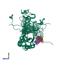 PDB entry 2rok coloured by chain, ensemble of 20 models, side view.