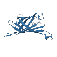 The deposited structure of PDB entry 2rtl contains 1 copy of Pfam domain PF01382 (Avidin family) in Streptavidin. Showing 1 copy in chain A.