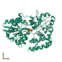 PDB entry 2uvi coloured by chain, front view.