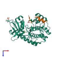 PDB entry 2uvx coloured by chain, top view.