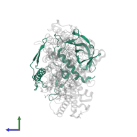 Reaction center protein H chain in PDB entry 2uws, assembly 1, side view.