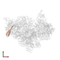 Small ribosomal subunit protein bS20 in PDB entry 2uxc, assembly 1, front view.