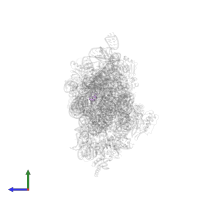 Small ribosomal subunit protein bTHX in PDB entry 2uxc, assembly 1, side view.