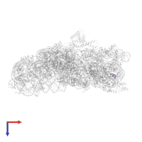 Small ribosomal subunit protein bTHX in PDB entry 2uxc, assembly 1, top view.