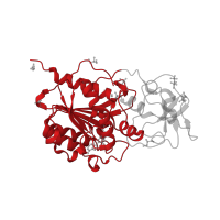 The deposited structure of PDB entry 2uyc contains 1 copy of CATH domain 3.40.50.150 (Rossmann fold) in Type II methyltransferase M.HhaI. Showing 1 copy in chain A.
