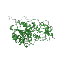 The deposited structure of PDB entry 2uyc contains 1 copy of Pfam domain PF00145 (C-5 cytosine-specific DNA methylase) in Type II methyltransferase M.HhaI. Showing 1 copy in chain A.