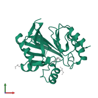 Metallo-beta-lactamase type 2 in PDB entry 2uyx, assembly 1, front view.