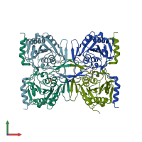 PDB entry 2v4o coloured by chain, front view.