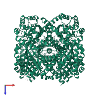 4-hydroxy-2-oxo-heptane-1,7-dioate aldolase in PDB entry 2v5j, assembly 1, top view.