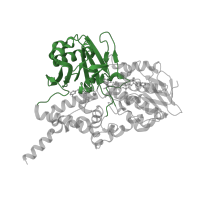 The deposited structure of PDB entry 2v60 contains 2 copies of CATH domain 3.90.660.10 (Polyamine Oxidase; Chain A, domain 2) in Amine oxidase [flavin-containing] B. Showing 1 copy in chain A.