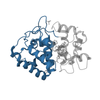 The deposited structure of PDB entry 2vcn contains 1 copy of CATH domain 1.10.520.10 (Peroxidase; domain 1) in L-ascorbate peroxidase. Showing 1 copy in chain A.