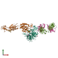 PDB entry 2vdq coloured by chain, front view.