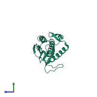 Mitotic spindle assembly checkpoint protein MAD2A in PDB entry 2vfx, assembly 2, side view.