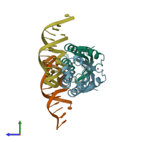 PDB entry 2vhg coloured by chain, side view.