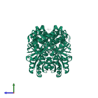 Serine hydroxymethyltransferase in PDB entry 2vi9, assembly 1, side view.