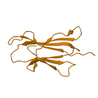 The deposited structure of PDB entry 2vlk contains 1 copy of SCOP domain 48942 (C1 set domains (antibody constant domain-like)) in Beta-2-microglobulin. Showing 1 copy in chain B.