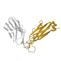 The deposited structure of PDB entry 2vlk contains 1 copy of SCOP domain 48942 (C1 set domains (antibody constant domain-like)) in JM22 TCR BETA CHAIN. Showing 1 copy in chain E.