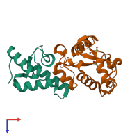 Hetero dimeric assembly 1 of PDB entry 2vlq coloured by chemically distinct molecules, top view.