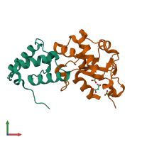 PDB entry 2vlq coloured by chain, front view.