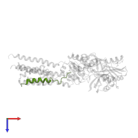 Sarcoplasmic/endoplasmic reticulum calcium ATPase 1 in PDB entry 2voy, assembly 1, top view.