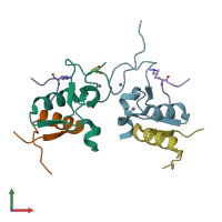 PDB entry 2vpe coloured by chain, front view.