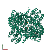 Homo hexameric assembly 1 of PDB entry 2vws coloured by chemically distinct molecules, front view.