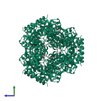 Homo hexameric assembly 1 of PDB entry 2vws coloured by chemically distinct molecules, side view.