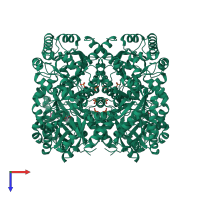 Homo hexameric assembly 1 of PDB entry 2vws coloured by chemically distinct molecules, top view.