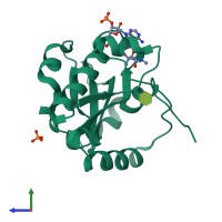 PDB entry 2vxk coloured by chain, side view.