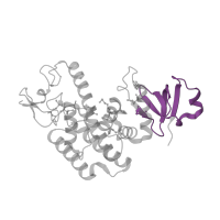 The deposited structure of PDB entry 2vy3 contains 2 copies of Pfam domain PF18543 (Intracellular delivery domain) in Protein adenylyltransferase. Showing 1 copy in chain A.