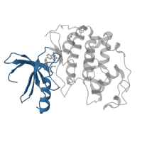 The deposited structure of PDB entry 2w17 contains 1 copy of CATH domain 3.30.200.20 (Phosphorylase Kinase; domain 1) in Cyclin-dependent kinase 2. Showing 1 copy in chain A.