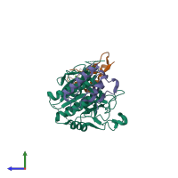 PDB entry 2w2p coloured by chain, side view.