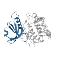 The deposited structure of PDB entry 2w4j contains 1 copy of CATH domain 3.30.200.20 (Phosphorylase Kinase; domain 1) in Death-associated protein kinase 1. Showing 1 copy in chain A.