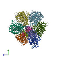 PDB entry 2w6i coloured by chain, side view.