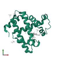 Myoglobin in PDB entry 2w6w, assembly 1, front view.