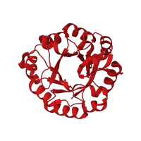 The deposited structure of PDB entry 2w79 contains 2 copies of CATH domain 3.20.20.70 (TIM Barrel) in 1-(5-phosphoribosyl)-5-[(5-phosphoribosylamino)methylideneamino] imidazole-4-carboxamide isomerase. Showing 1 copy in chain A.