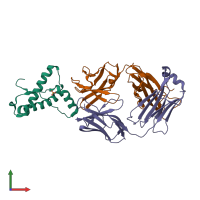 PDB entry 2w9e coloured by chain, front view.